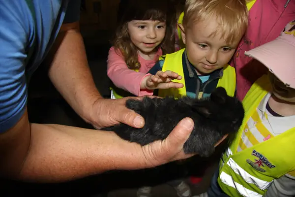 Zvířátka na statku — střední veterinární škola
