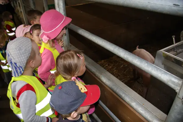 Zvířátka na statku — střední veterinární škola — fotka 4
