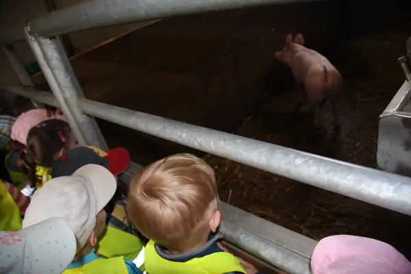 Zvířátka na statku — střední veterinární škola — fotka 5