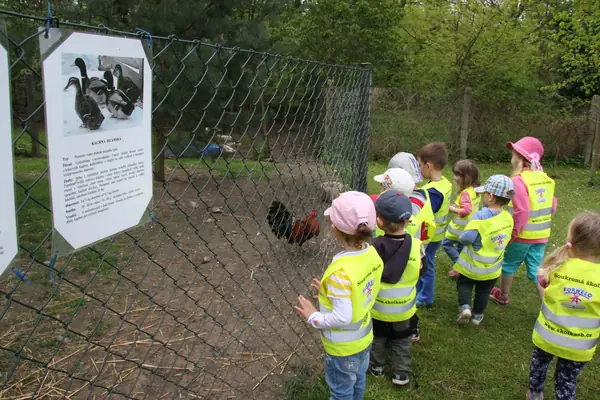 Zvířátka na statku — střední veterinární škola — fotka 9