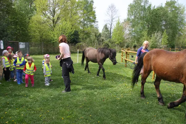 Zvířátka na statku — střední veterinární škola — fotka 11